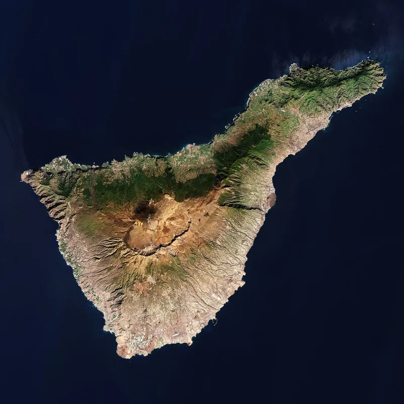 Tours & Day Trips in Tenerife