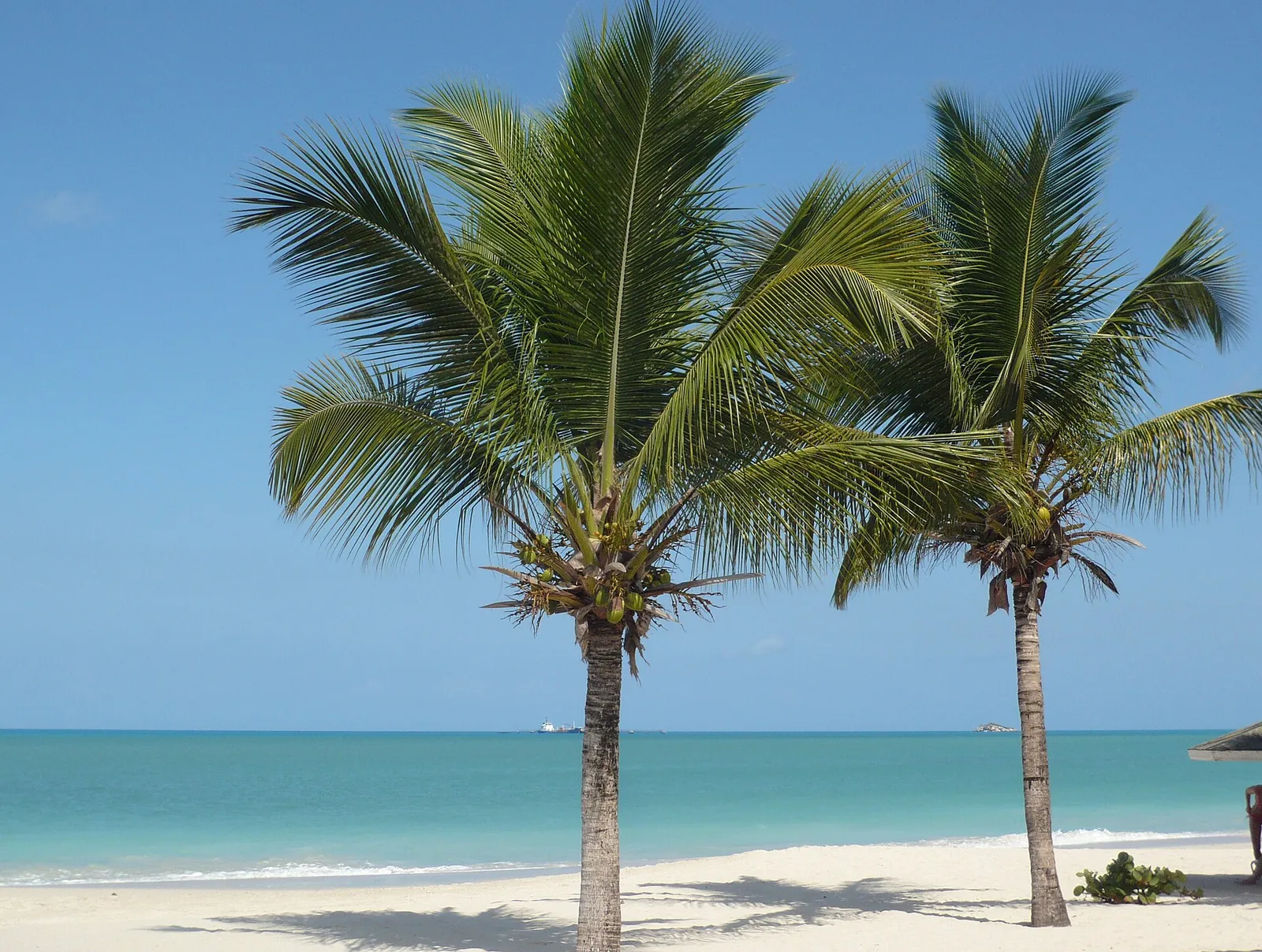 Antigua
