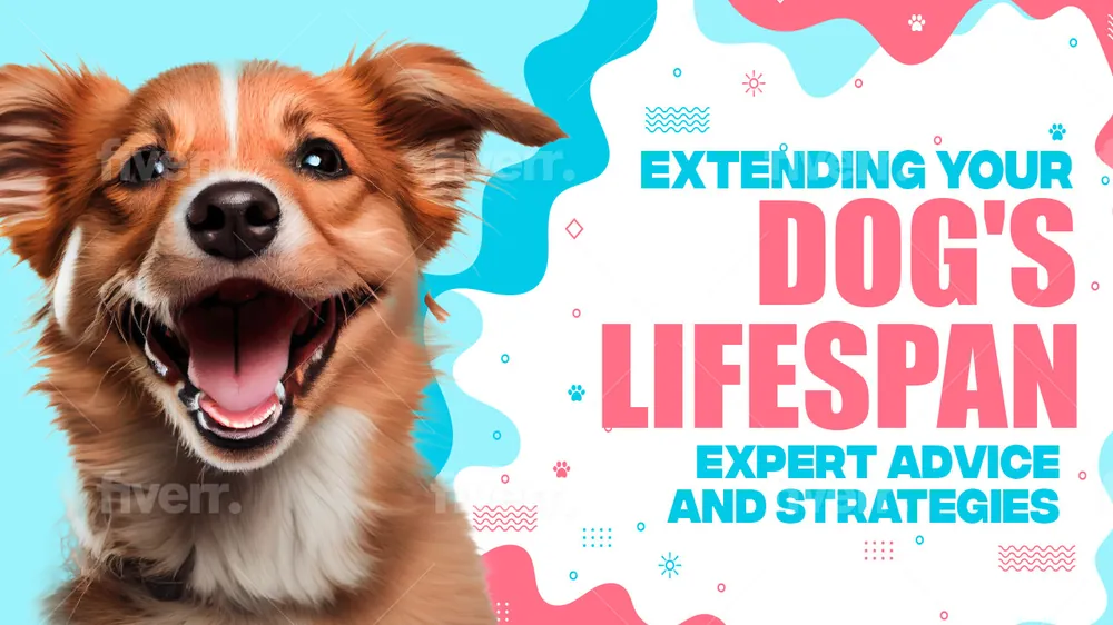 Best Dog Supplements for Longevity 2026: Vet-Approved Picks & Guide